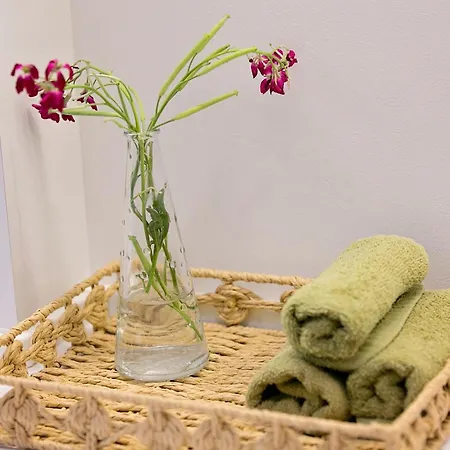 Apartament Ap Tzar Peter I