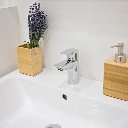 Apartment Ap Tzar Peter I