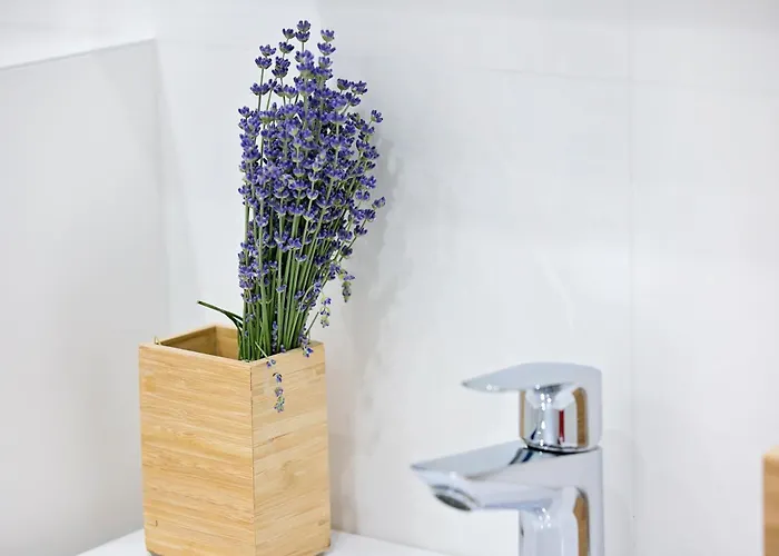 Apartament Ap Tzar Peter I Warna